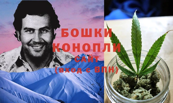 apvp Алзамай