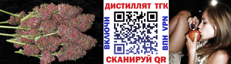 ТГК концентрат  Гвардейск 