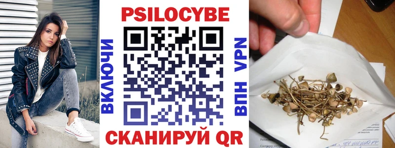 мега сайт  цены наркотик  Гвардейск  Псилоцибиновые грибы GOLDEN TEACHER 